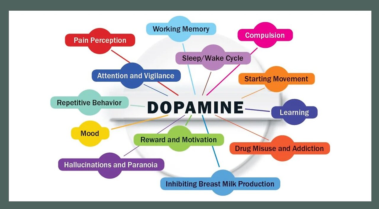 How to balance and increase Dopamine