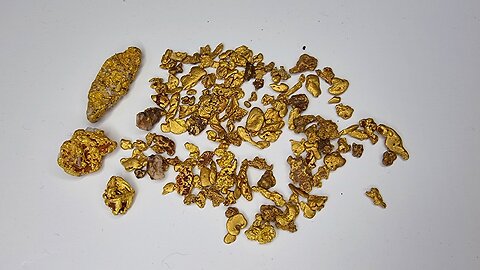 Want To See Bulk GOLD? Here You GO!