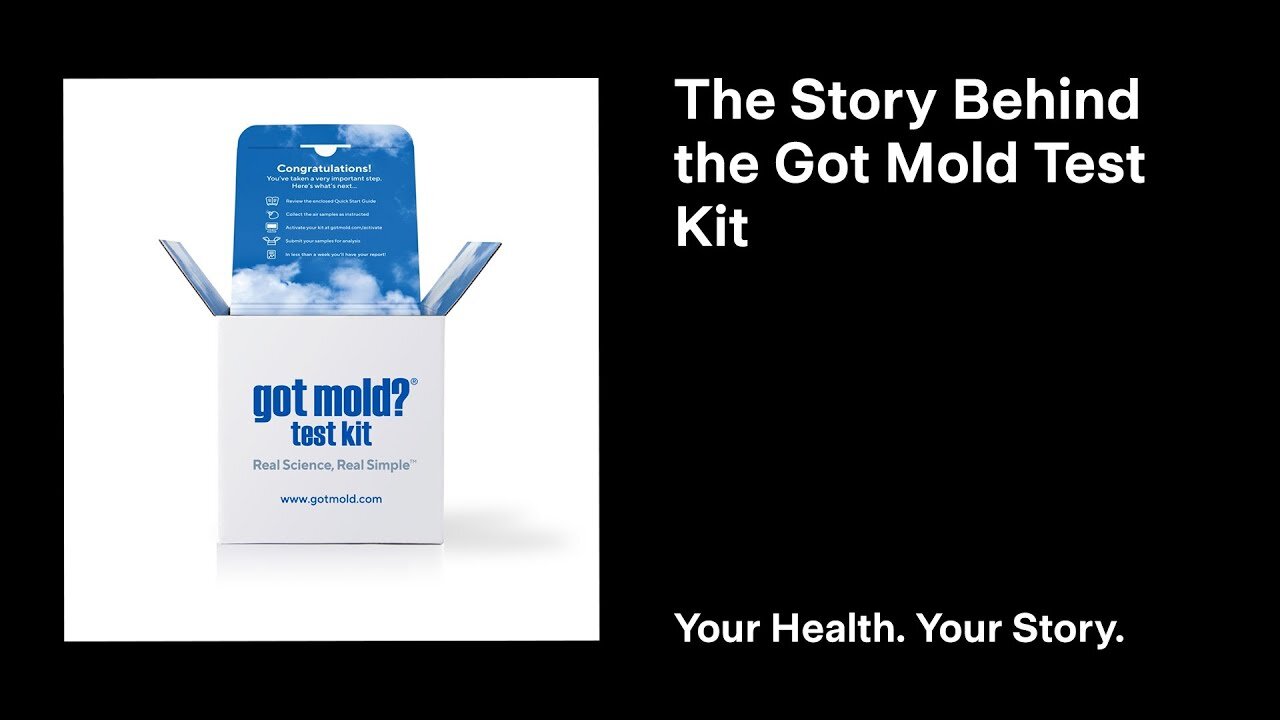 The Story Behind the Got Mold Test Kit