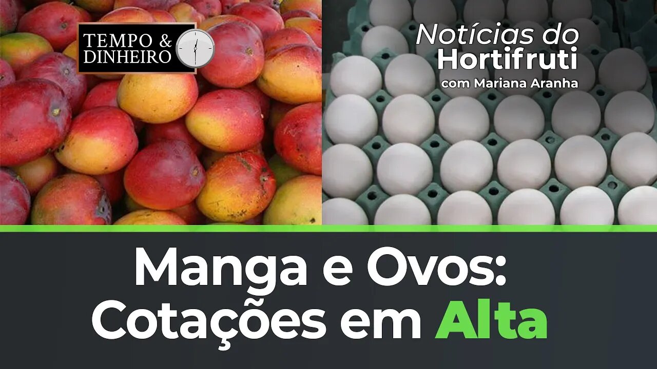 Cotações em alta para a manga. Alta também para os ovos em SP