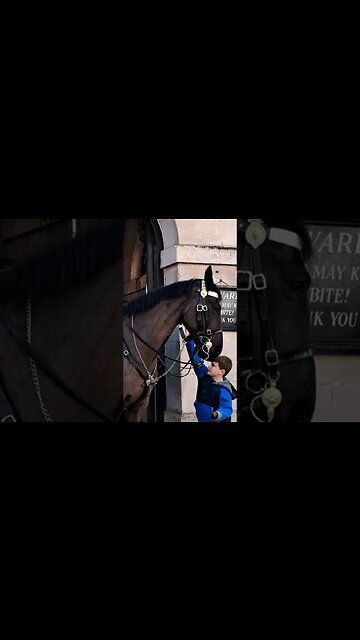 Kid gets to close changing of the guard #horseguardsparade