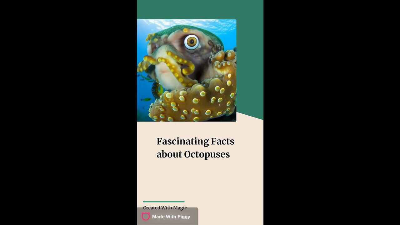 Did you know? Octopuses have three hearts…