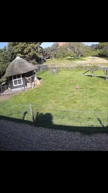 We all need friends like these some times