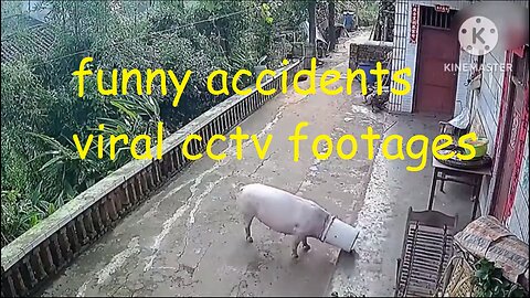 funny accidents viral cctv footages