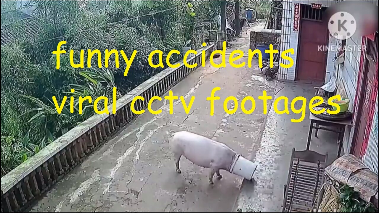 funny accidents viral cctv footages