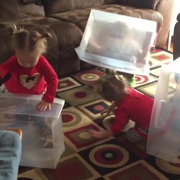 Three Kids Don’t Want to Play With Toys, Just The Boxes