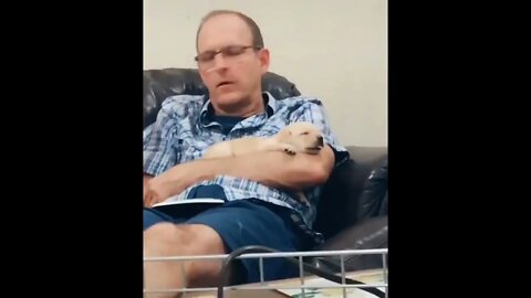 This dad did not want a puppy
