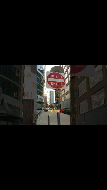 good girl, no barking. is that a way to treat a lady who's smarter than you? BAM! $5 Million Dollars