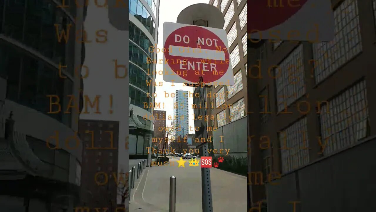 good girl, no barking. is that a way to treat a lady who's smarter than you? BAM! $5 Million Dollars