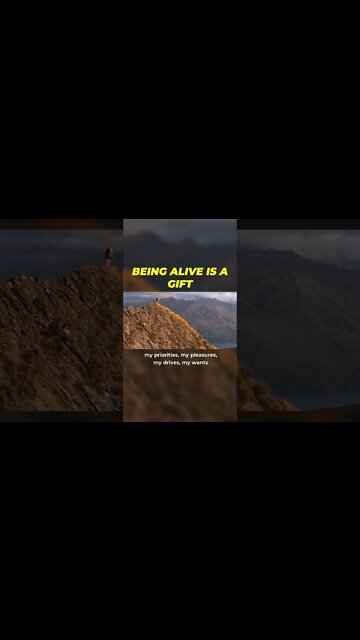 Being Alive Is A Gift