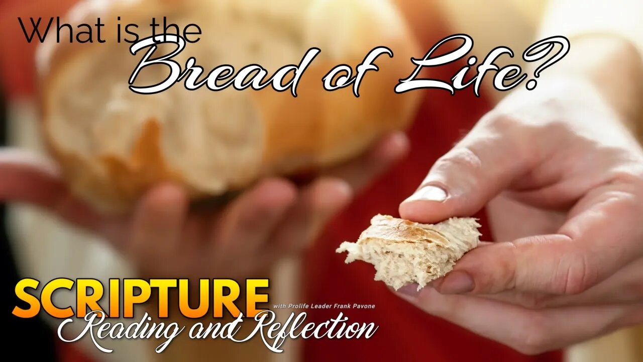 Daily Scripture Reading and Reflection - What Is The Bread of Life - July 26, 2023