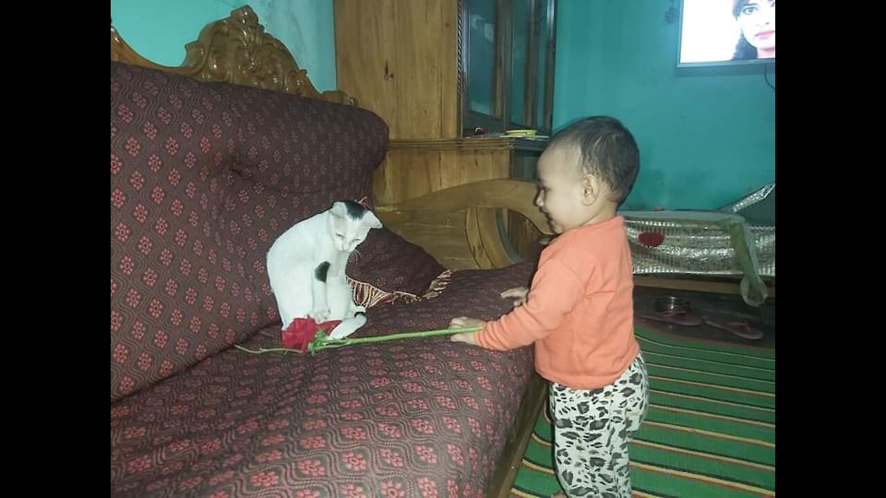 Baby and Cat Fun and Cute - Funny Baby Video 2021