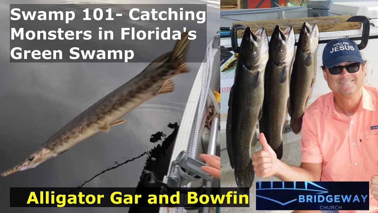 Swamp 101- Catching Prehistoric Monsters in Florida Green Swamp Alligator Gar and Bowfin