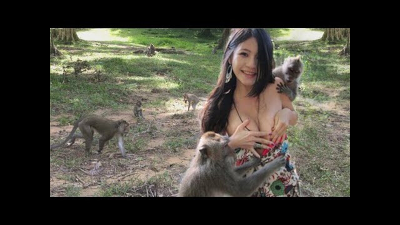 TRY NOT TO LAUGH OR SMILEE