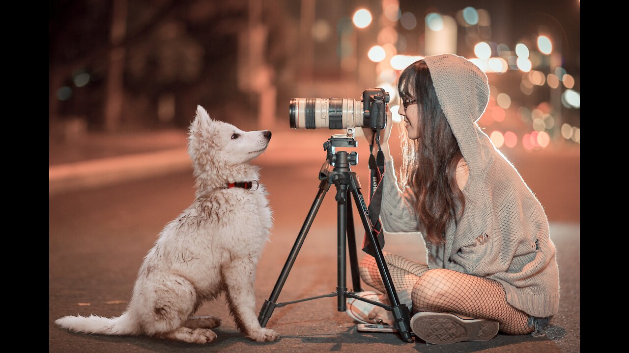 Cute bb animals Videos Compilation cutest moment of the animals