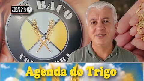 As notícias da renovação do acordo de Istambul, já estão precificadas. Atenção ao clima do H. Norte.