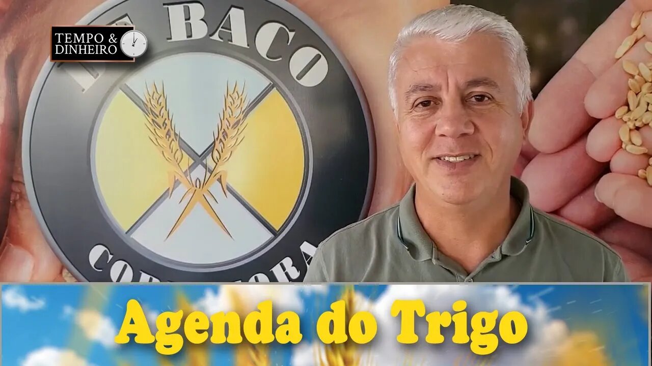 As notícias da renovação do acordo de Istambul, já estão precificadas. Atenção ao clima do H. Norte.