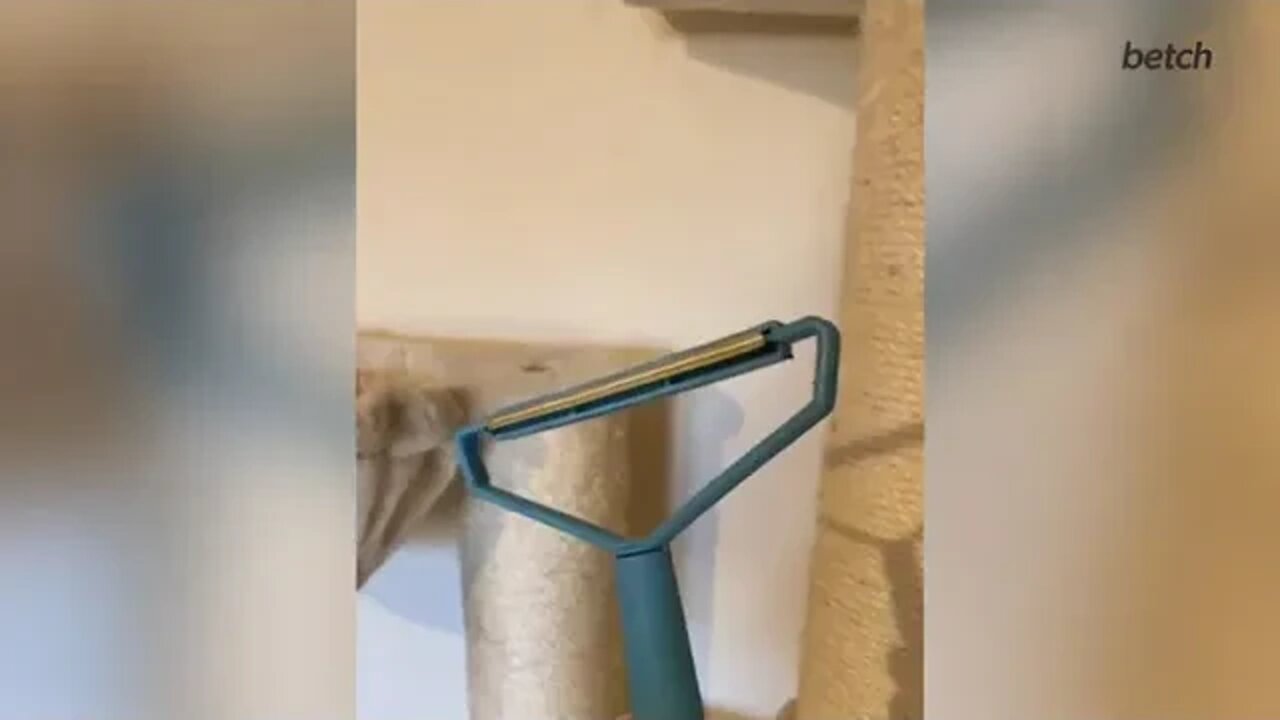 Cat Cannot Believe His Eyes