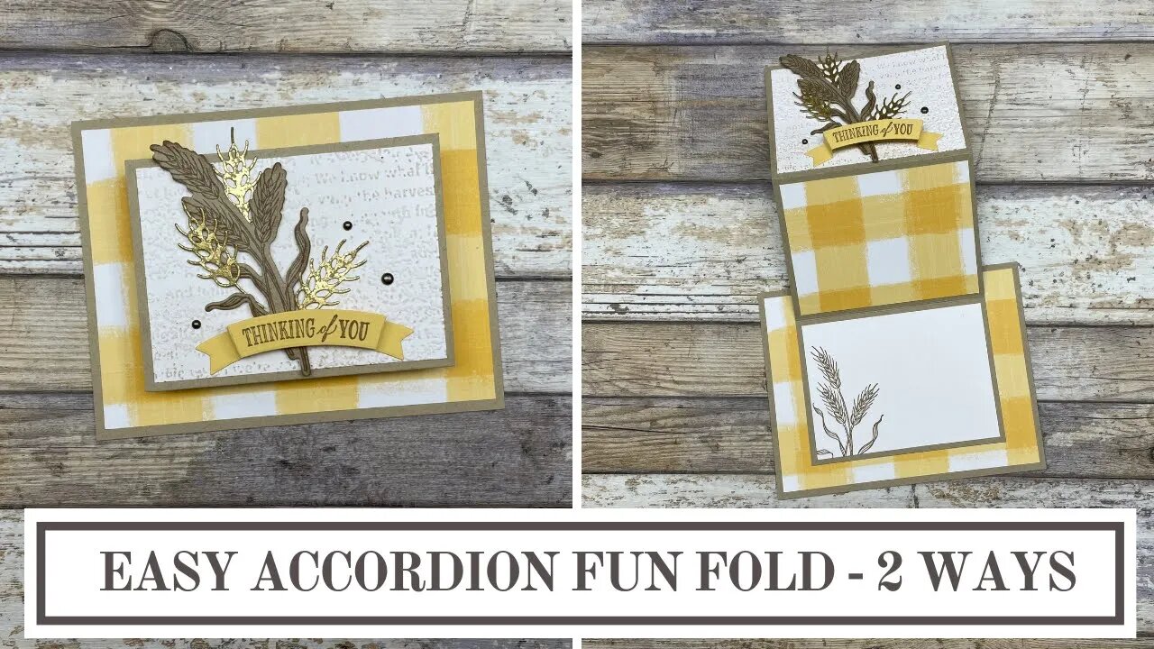 Easy Accordion Fun Fold Card - 2 Ways