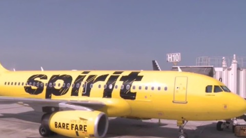 Woman considering suing Spirit Airlines after flushing hamster