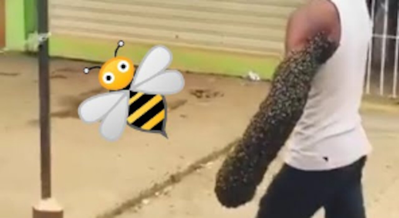 Guy Walks With Swarm of Bees On His Arm