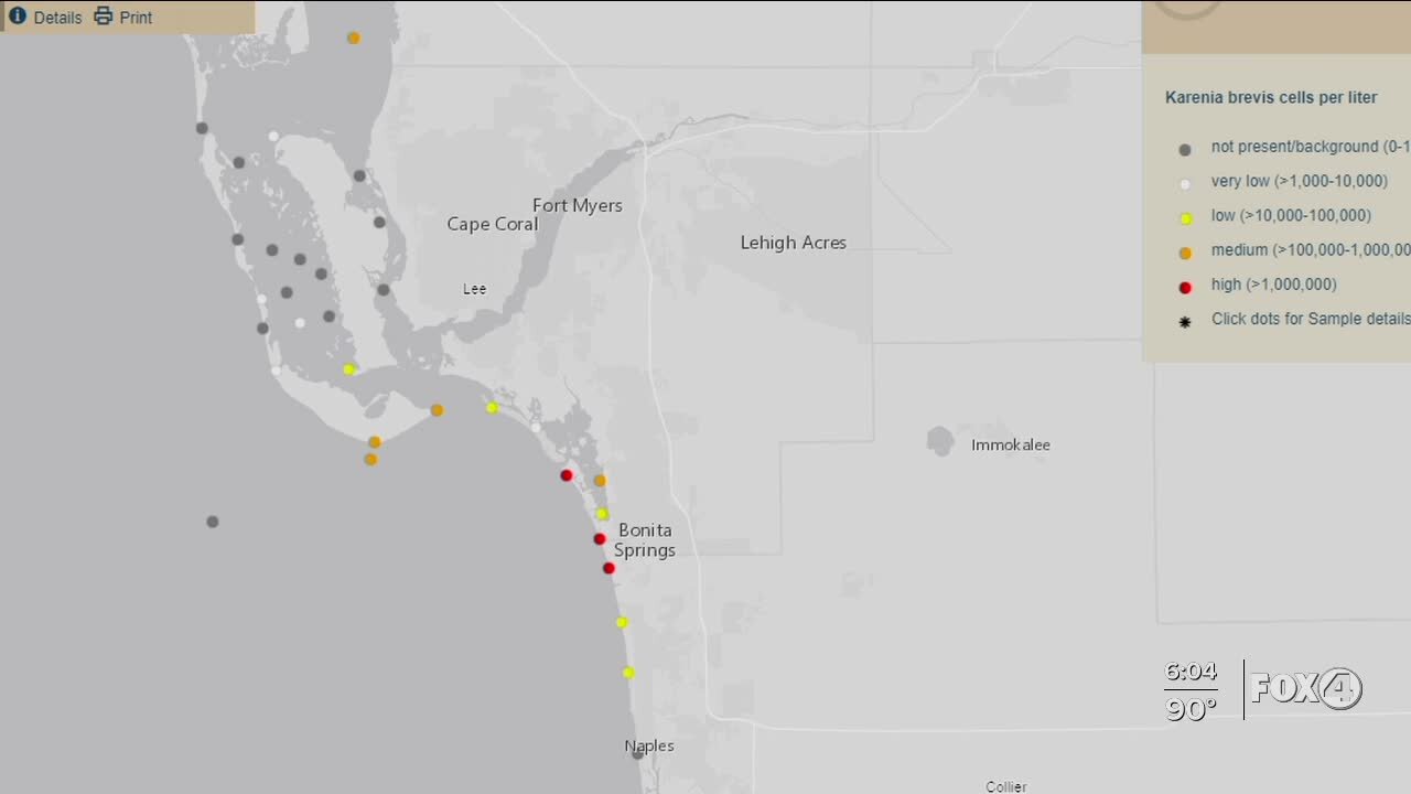 HEALTH ALERT: Red Tide present in several Gulf locations