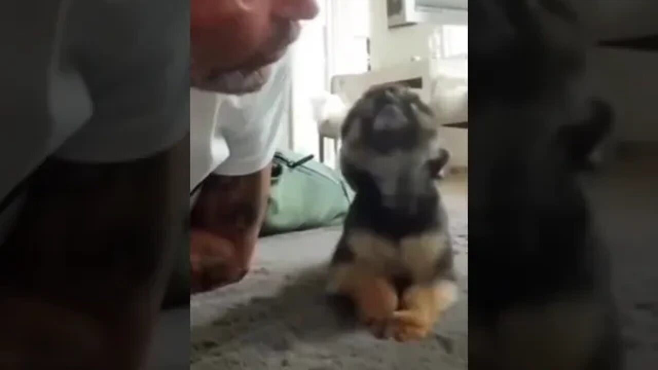 Sneaking in for kisses.. 😅 #shorts #animals