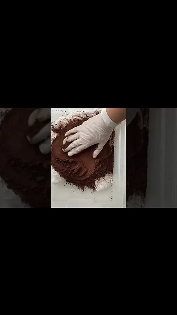 Slime Business Owner