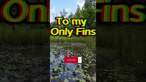 What Would You Throw? I Know What I Would! Let Me know! #shorts #fyp #fishingshorts