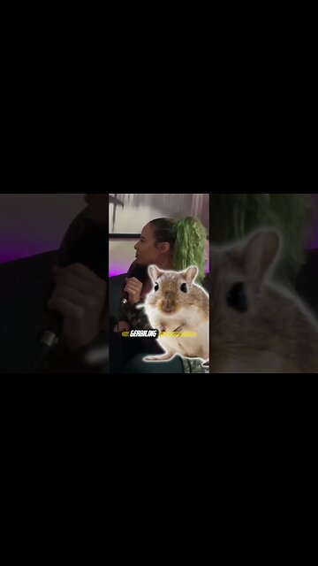 Do you guys know what gerbiling is? 🤔 Full episode 👉 https://rumble.com/v2qh8le-may-28-2023.html