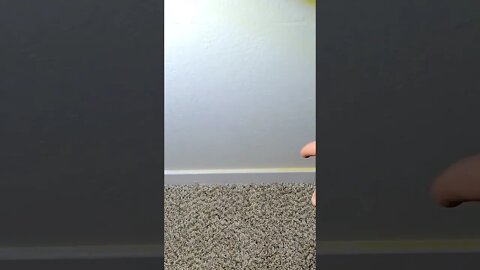 Who knows what you will find under a window. #shortvideo