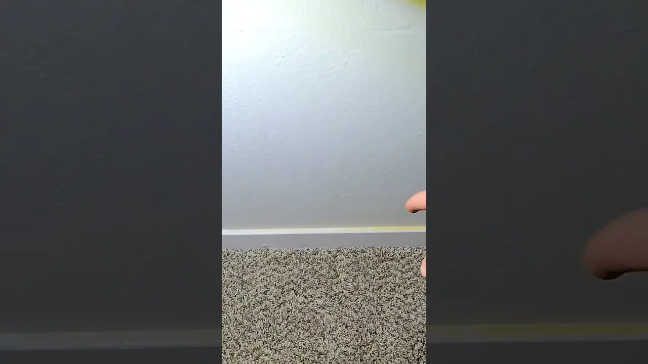 Who knows what you will find under a window. #shortvideo