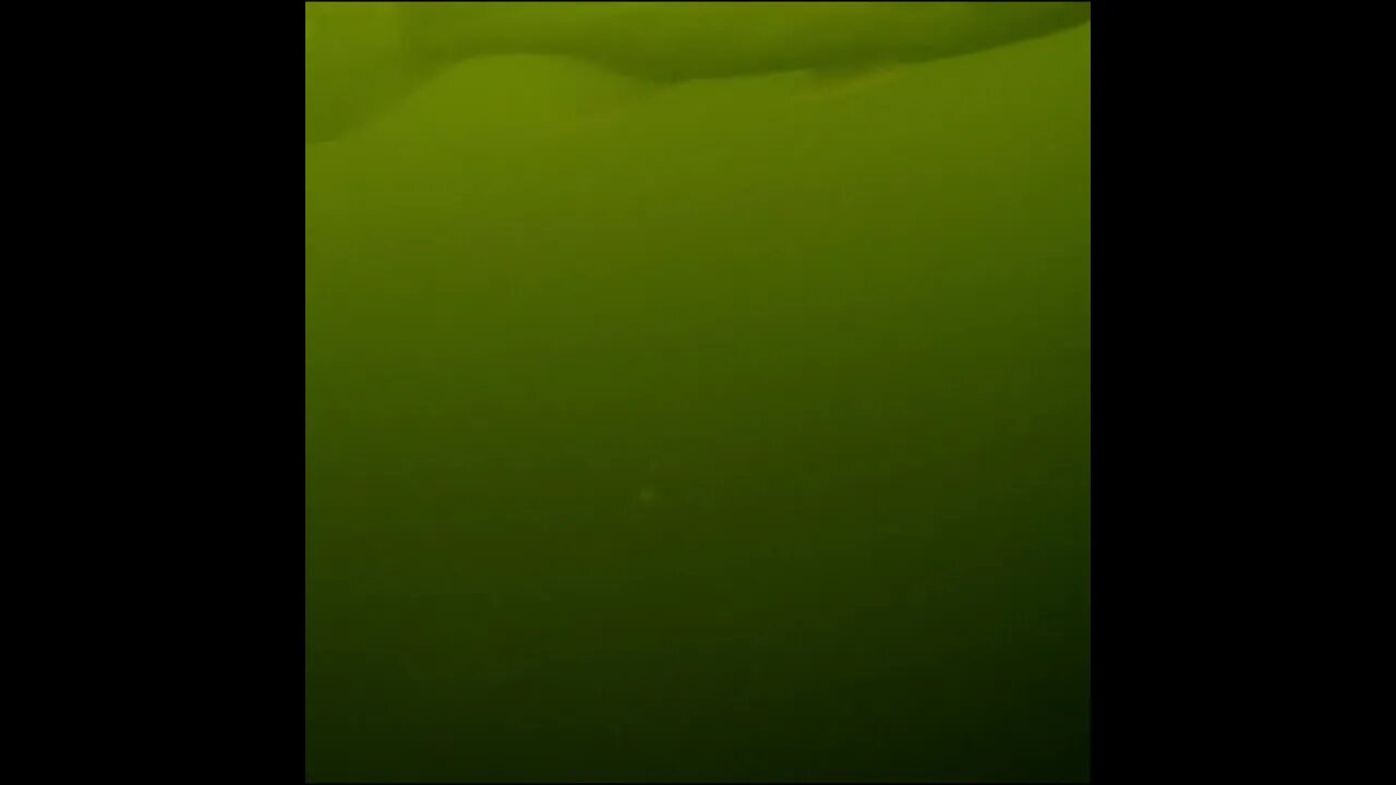 bass underwater