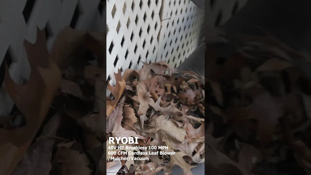 Ryobi Sucks and Blows #shorts