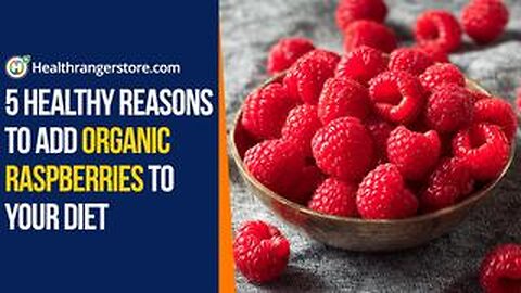 5 Healthy reasons to add Organic Raspberries to your diet