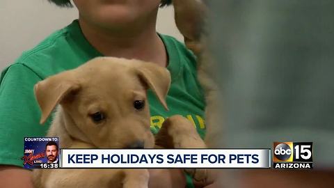 Keep your pets safe this holiday season!