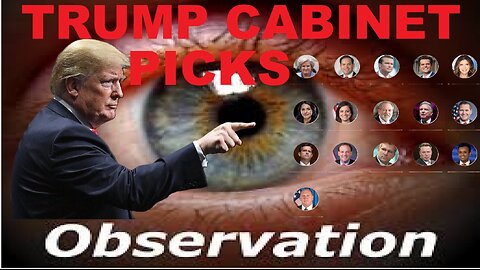 OBSERVATIONS REGARDING TRUMP'S CABINET PICKS