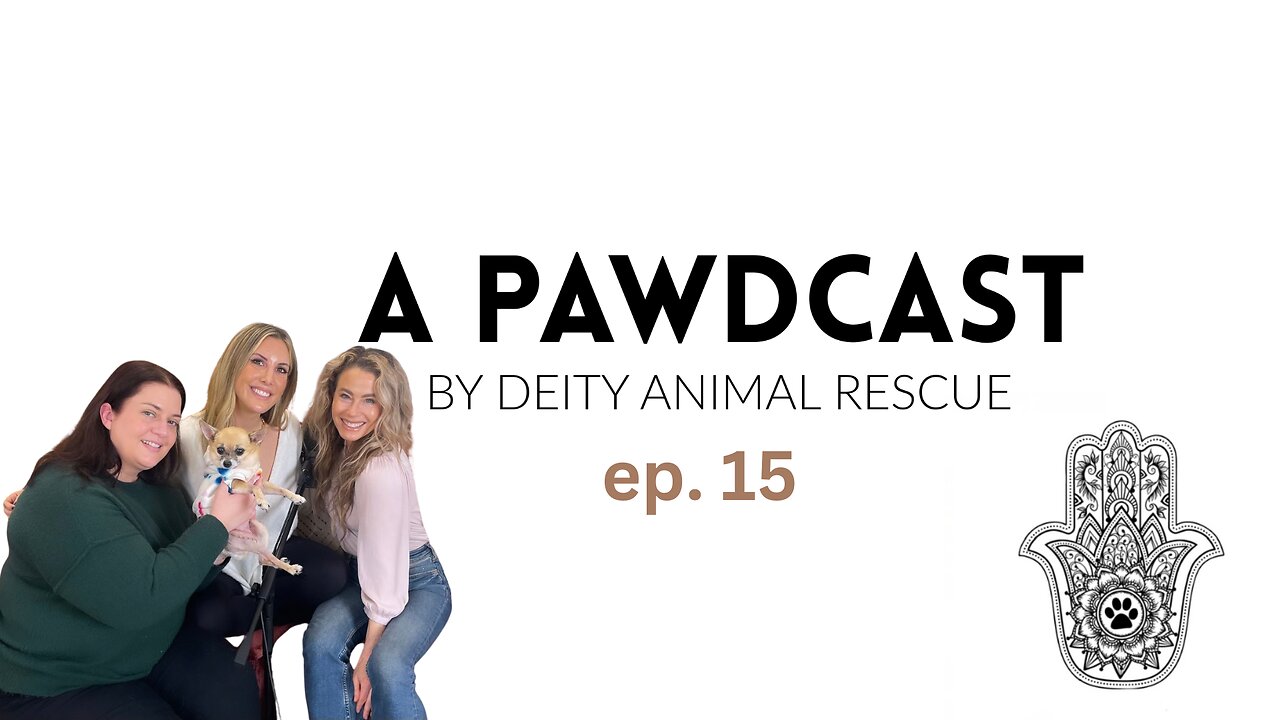 A Pawdcast Ep. 16 I Kat Ramsburg