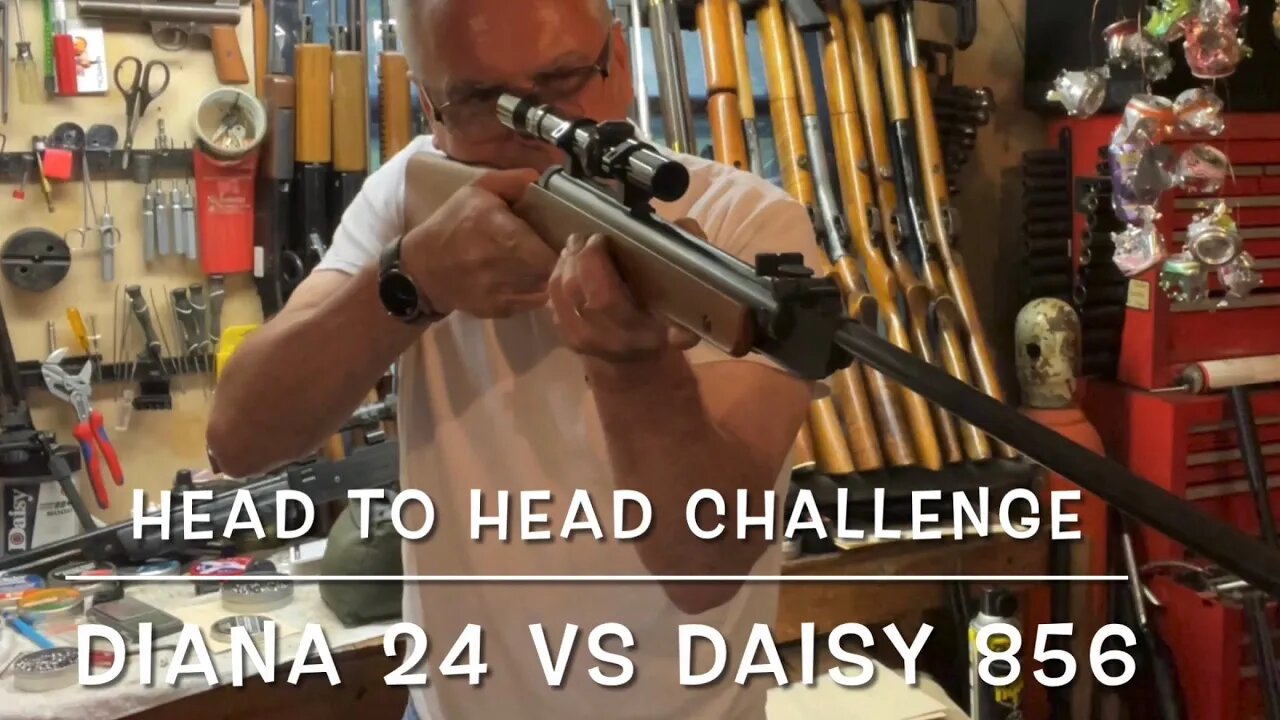 Head to head challenge Diana 24 vs Daisy 856 pretty even match up really!