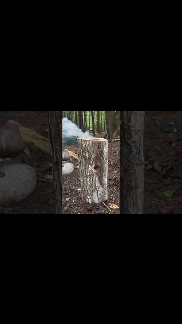 3 Wilderness Survival Skills You Should Know!