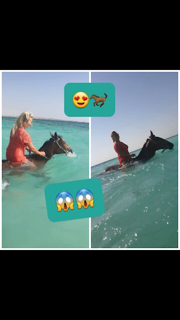 swimming horses and the Beautiful sea😱🐎❤