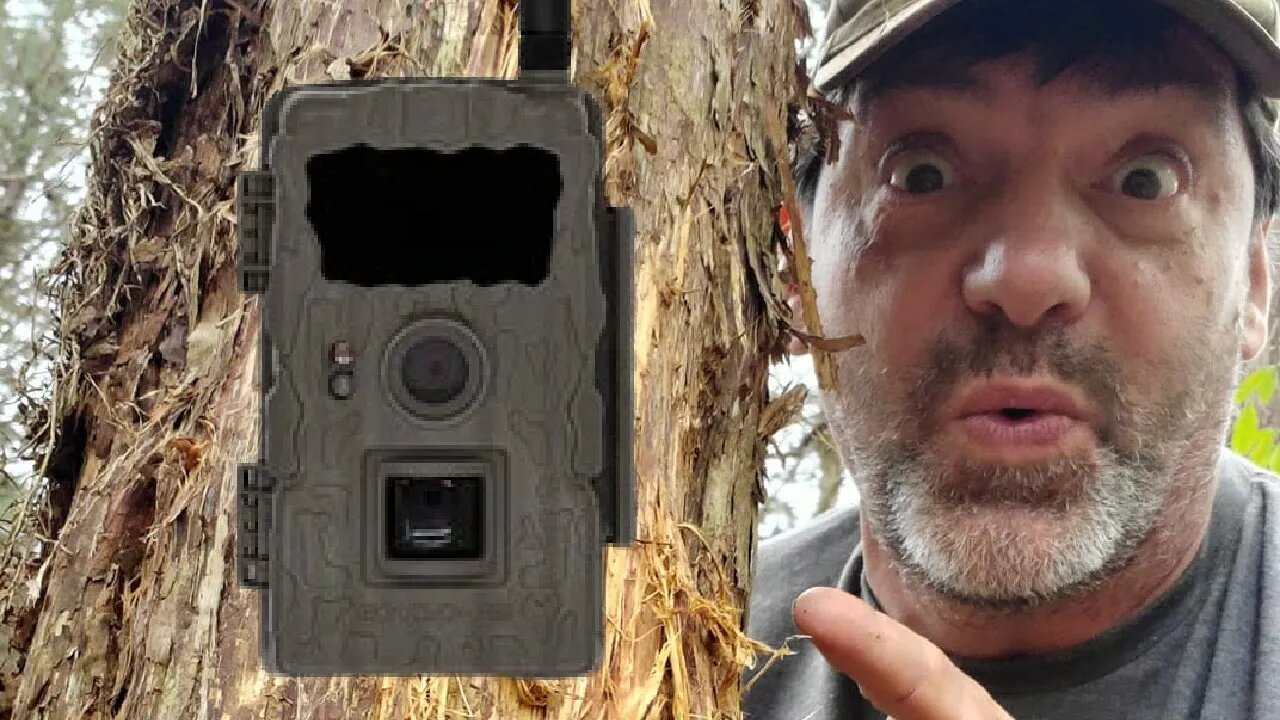 Dan Infalt's TRAIL CAMERA strategy on Farm Country