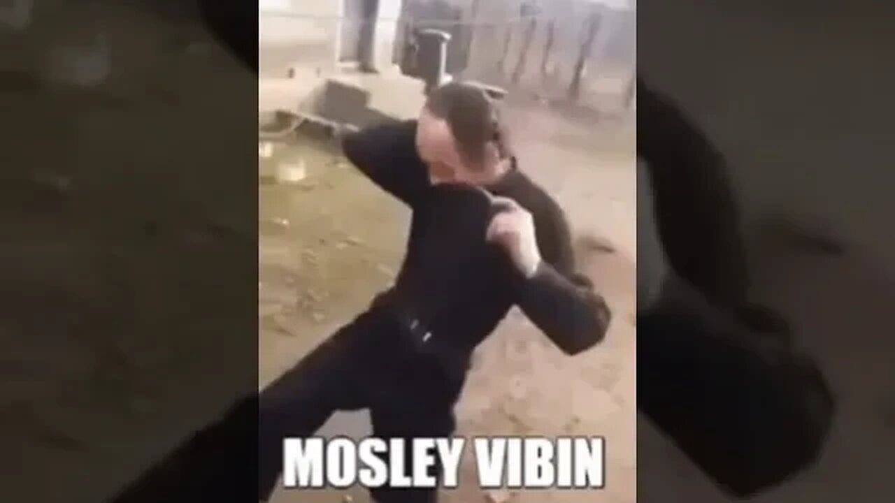 Oswald Mosley Vibin'