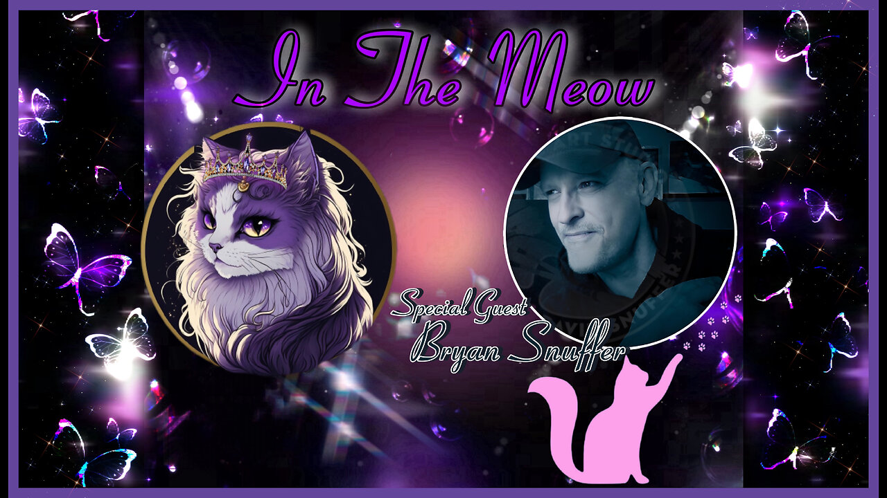 In The Meow | With Special Guest Bryan Snuffer (Full Video)