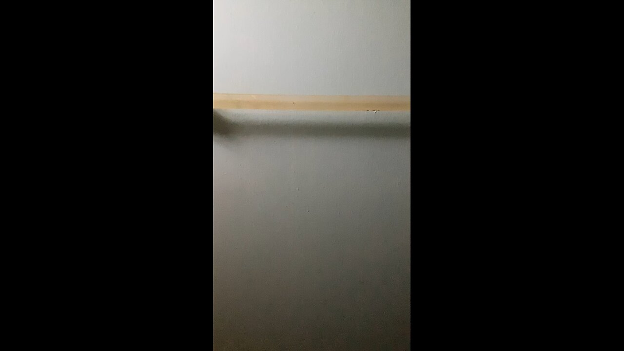 My honest reaction 3