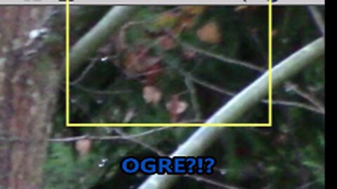 Bigfoot, Orbs & an Ogre (?) Filmed in Germany! WBR Golden Classics/Bigfoot in Germany/Robert Boston