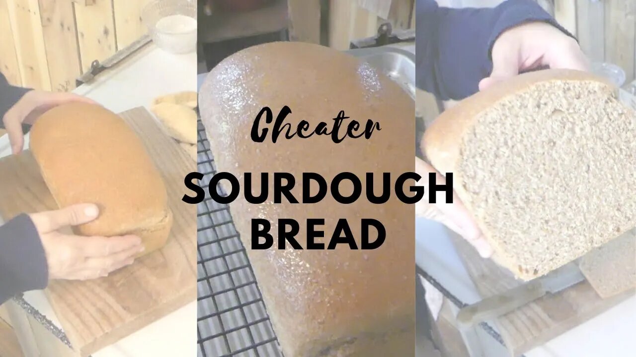 Cheater SOURDOUGH Bread || Using yeast in sourdough bread recipes