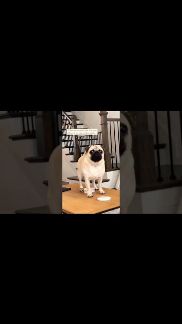 IDGAF MOM🥰 #shorts #clips #shortsfeed #shortvideo