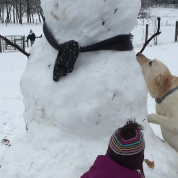 A Dog Takes A Snowman's Arm