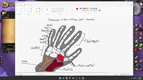 Session 3: Metagame (Paint, Typing, Aim Training) - Part 3 -